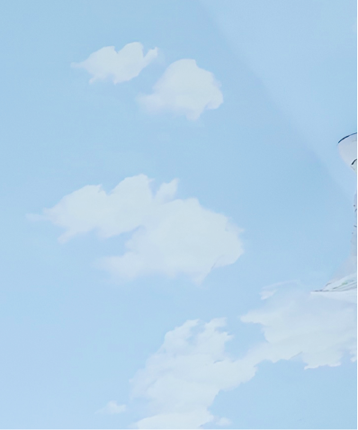 Detail cloud 2